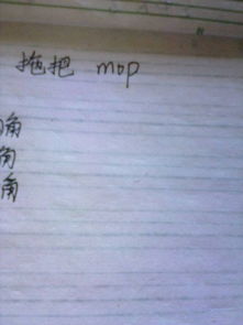 家里的"拖把"英语怎么说
