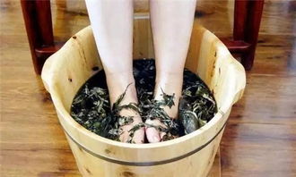 艾叶泡脚好处 艾叶泡脚有什么作用