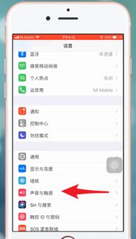 iphone铃声怎么设置成自己的音乐，iphone铃声怎么设置成自己的音乐网易云