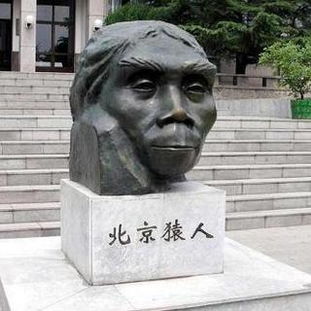 北京人距今多少年，北京人距今多少年山顶洞人距今多少年