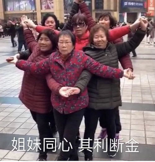 姐妹同心其利断金的意思