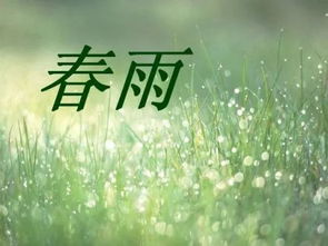 春雨又()又()填空