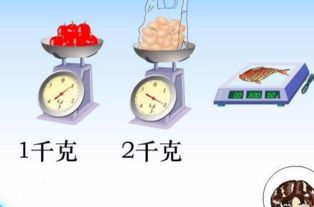 一百斤等于多少千克
