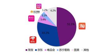 网购中国品牌羽绒服哪个平台好质量有保障?