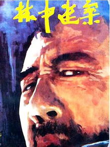 林中迷案