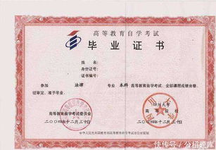事业单位报考是什么条件学历?