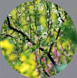 四月的别称，四月的别称及美名