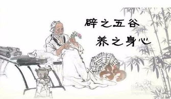 什么叫辟谷?