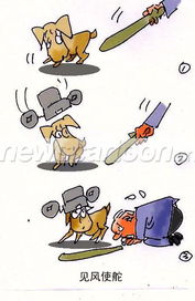 见风使舵的意思