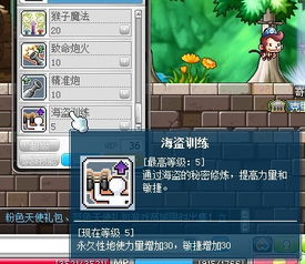 冒险岛火炮手