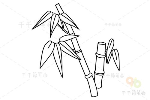 竹子怎么画