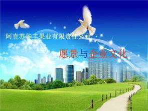 简述企业愿景怎么写?