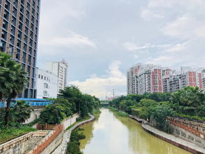 南宁高新区，南宁高新区管委会官网