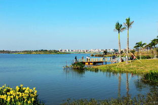 广州——白云湖公园(拍照野餐圣地)