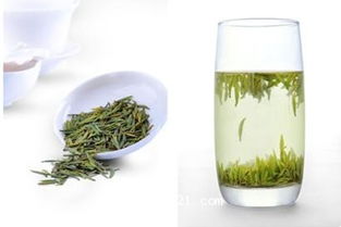 竹叶青是什么茶
