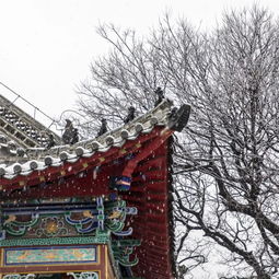 “雕栏玉砌应犹在,只是朱颜改”全诗是什么?