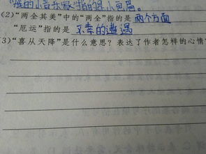 喜从天降的意思是什么