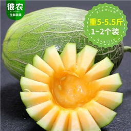 小蜜瓜
