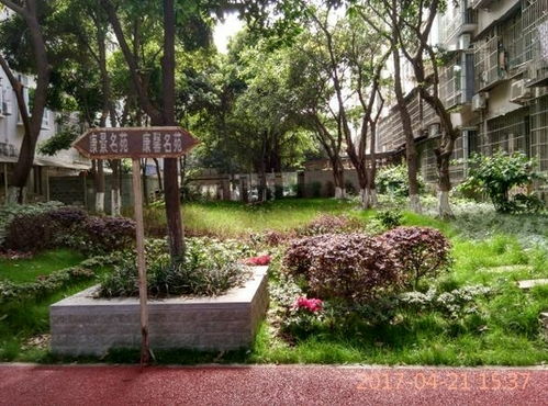 雨水花园在城市环境设计中的应用