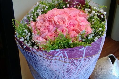 玫瑰品种戴安娜如何养护?