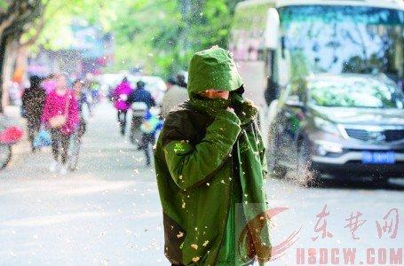 絮是什么意思 絮是啥意思