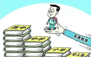 12年义务教育什么时候开始实行