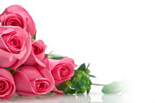 五朵玫瑰代表什么意思