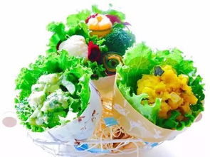 为什么沙拉查词不能翻译pdf