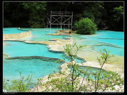 坐飞机郑州到九寨沟旅游,深度二次游报哪个团好,花费用多少