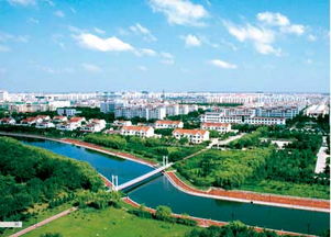 东营是哪个省 关于东营是哪个省