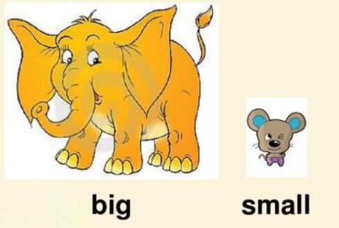 big和large有什么区别