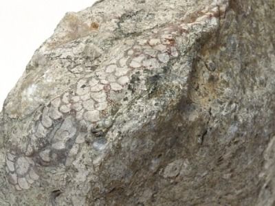 石头的拼音怎么写词语石头的拼音