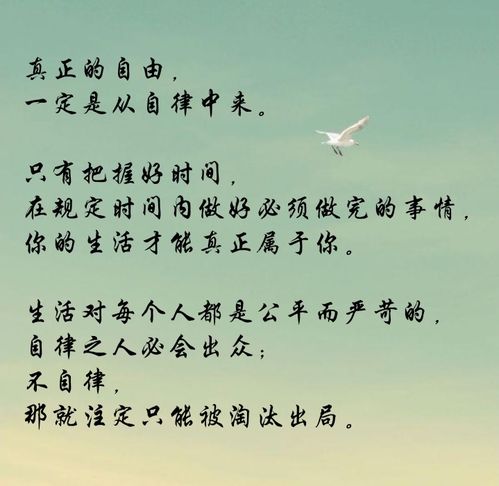 自律的意思是什么