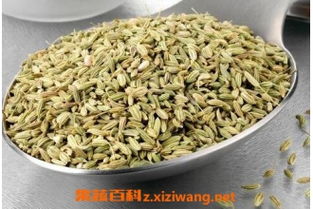 茴香籽的功效与作用及食用方法 茴香籽的功效与作用和食用方法