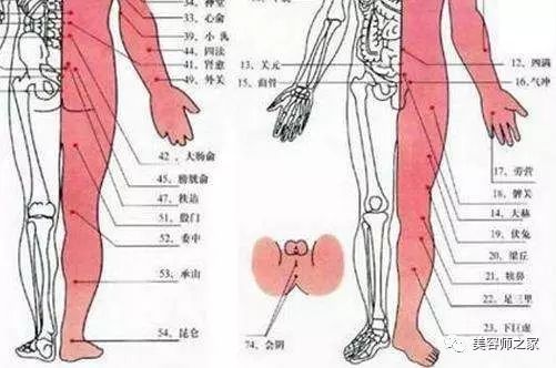 吃什么可以补脾胃 哪些食物可以补脾胃
