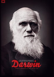 mahdi麦迪的介绍