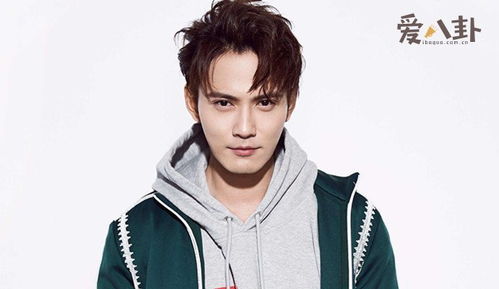 徐正溪个人资料 脸红名不红太可惜