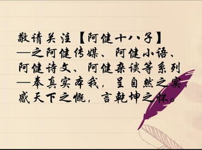 感悟是什么意思?