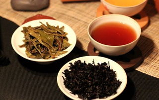请问2007年的普洱茶还能喝吗?是新茶好,还是成茶好?
