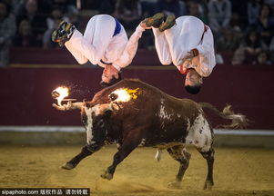 明牌抢庄斗牛技巧