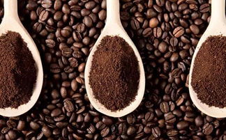 咖啡渣怎么做肥料