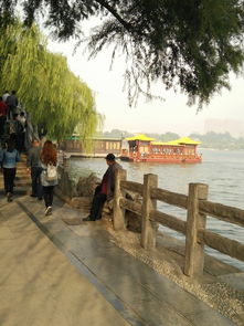 大明湖畔的夏雨荷是什么意思