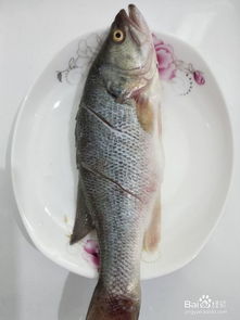 鲈鱼怎么做好吃