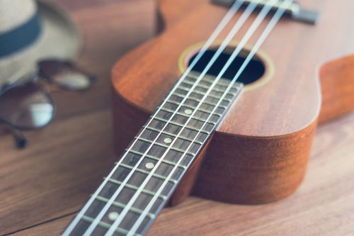 电吉他和木吉他有什么区别