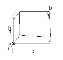 长方体的长宽高分别在哪?