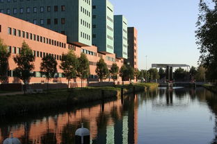 郑州大学邮箱是什么?