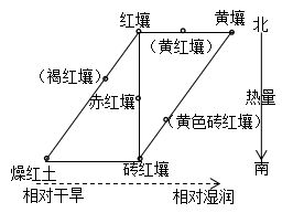 常见的土壤是怎么形成的?