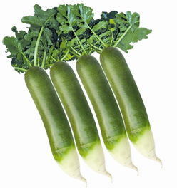 炒青萝卜的热量是多少?