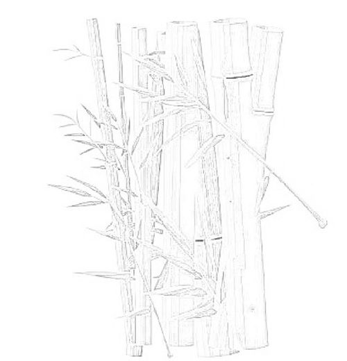 简单的水墨画