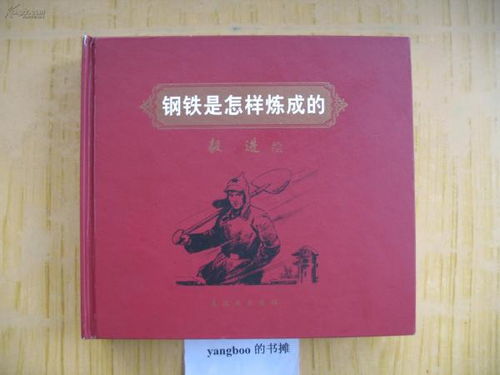 钢铁是怎样炼成的内容摘要，钢铁是怎样炼成的内容摘要50字
